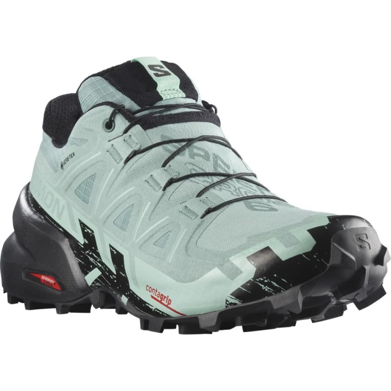 Salomon Speedcross 6 GTX Trailove Bezecke Tenisky Damske Mätové | SK 9LHVRW